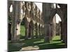 Rievaulx Abbey, Yorkshire, England, United Kingdom-Adam Woolfitt-Mounted Photographic Print