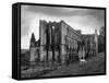 Rievaulx Abbey-Fred Musto-Framed Stretched Canvas