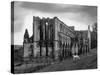 Rievaulx Abbey-Fred Musto-Stretched Canvas