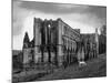 Rievaulx Abbey-Fred Musto-Mounted Photographic Print