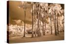 Stretched Canvas