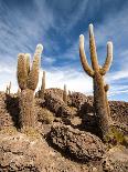 Cactus in Salar De Uyuni-Rigamondis-Framed Photographic Print