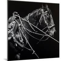 Rigging #1-Julie Chapman-Mounted Art Print