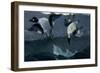 Right and Left-Winslow Homer-Framed Giclee Print