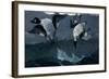 Right and Left-Winslow Homer-Framed Giclee Print