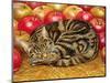 Right-Hand Apple-Cat, 1995-Ditz-Mounted Giclee Print