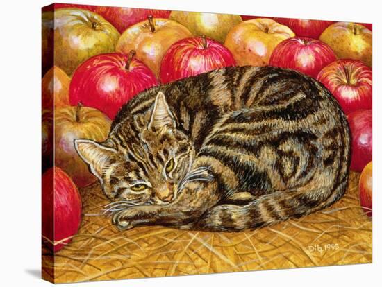 Right-Hand Apple-Cat, 1995-Ditz-Stretched Canvas