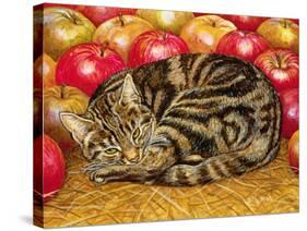 Right-Hand Apple-Cat, 1995-Ditz-Stretched Canvas