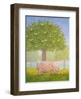 Right Hand Orchard Pig-Ditz-Framed Giclee Print