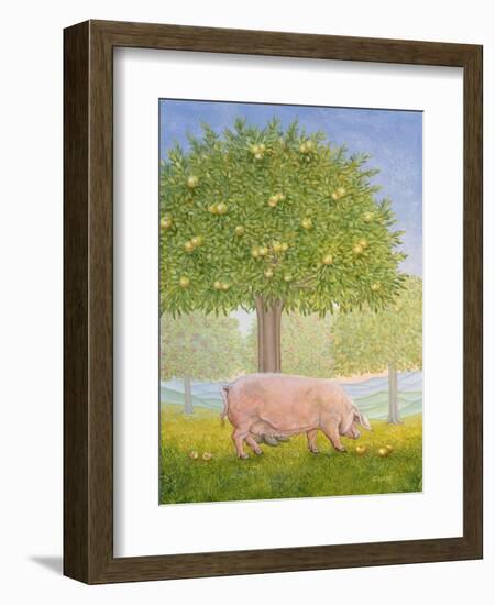 Right Hand Orchard Pig-Ditz-Framed Giclee Print