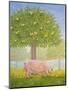 Right Hand Orchard Pig-Ditz-Mounted Giclee Print