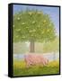 Right Hand Orchard Pig-Ditz-Framed Stretched Canvas