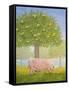 Right Hand Orchard Pig-Ditz-Framed Stretched Canvas