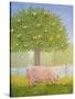 Right Hand Orchard Pig-Ditz-Stretched Canvas