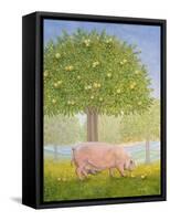 Right Hand Orchard Pig-Ditz-Framed Stretched Canvas
