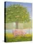 Right Hand Orchard Pig-Ditz-Stretched Canvas