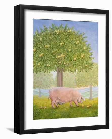 Right Hand Orchard Pig-Ditz-Framed Giclee Print