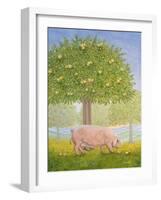 Right Hand Orchard Pig-Ditz-Framed Giclee Print