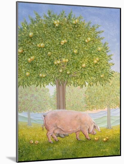 Right Hand Orchard Pig-Ditz-Mounted Giclee Print