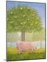 Right Hand Orchard Pig-Ditz-Mounted Giclee Print