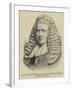 Right Honourable Sir Robert Lush, Lord Justice of Appeal-null-Framed Giclee Print