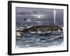 Right Whale Spouting-null-Framed Giclee Print