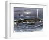 Right Whale Spouting-null-Framed Giclee Print