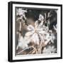 Rigt the Wrong-Philippe Sainte-Laudy-Framed Photographic Print