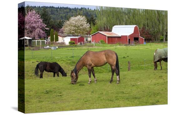 Stretched Canvas Print, , large