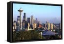 Framed Canvas