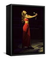 Rihanna-null-Framed Stretched Canvas