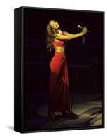 Rihanna-null-Framed Stretched Canvas