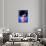 Rihanna-Enrico Varrasso-Mounted Art Print displayed on a wall