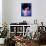 Rihanna-Enrico Varrasso-Framed Stretched Canvas displayed on a wall