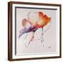 Brown Frame