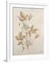 Gramercy White