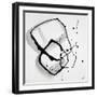 Black Frame