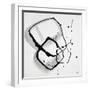 White Frame