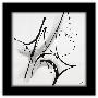 Gallery Pops Black Frame