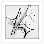 Gallery Pops White Frame