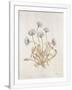 Gramercy White