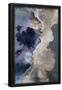 Essential Black