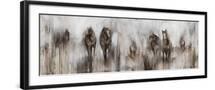 Black Frame