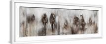 White Frame