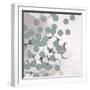 White Frame