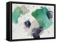 Framed Canvas
