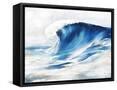Framed Canvas