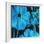 White Frame