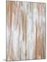 Wood Mount