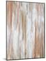 Wood Mount